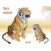 Peluche Tigre Seduta 60x40cm Peluche Tigre Seduta 60x40cm